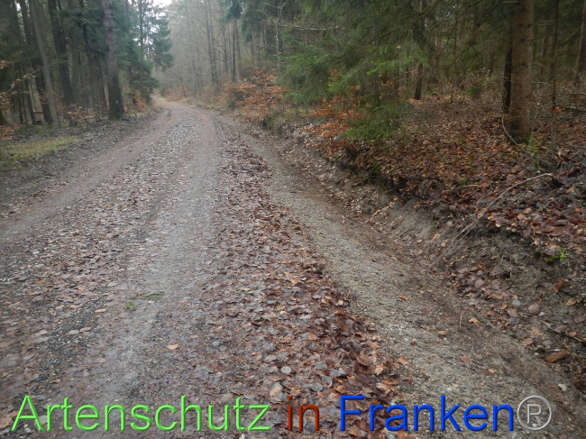 Bild zum Eintrag (1080325-160)