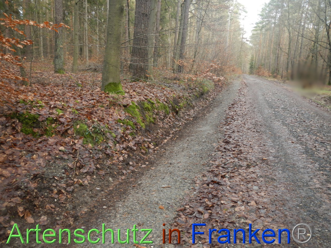 Bild zum Eintrag (1080326-160)