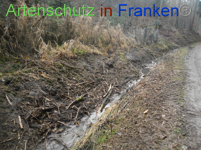 © Artenschutz in Franken® Bild zum Eintrag (1080352-160)