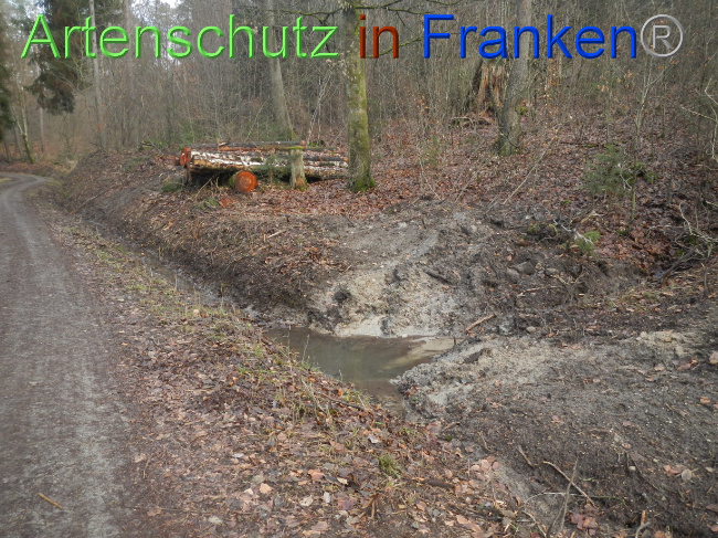 © Artenschutz in Franken® Bild zum Eintrag (1080356-160)