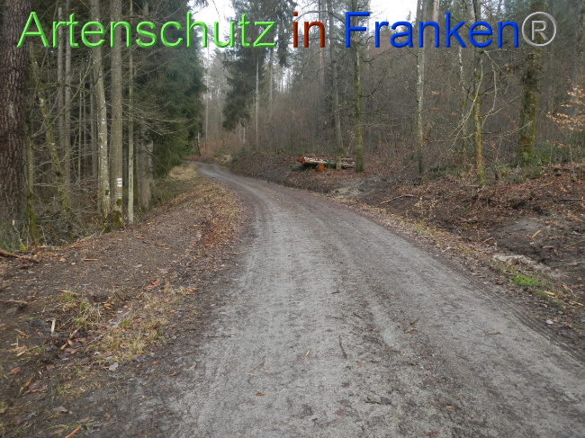 Bild zum Eintrag (1080360-160)