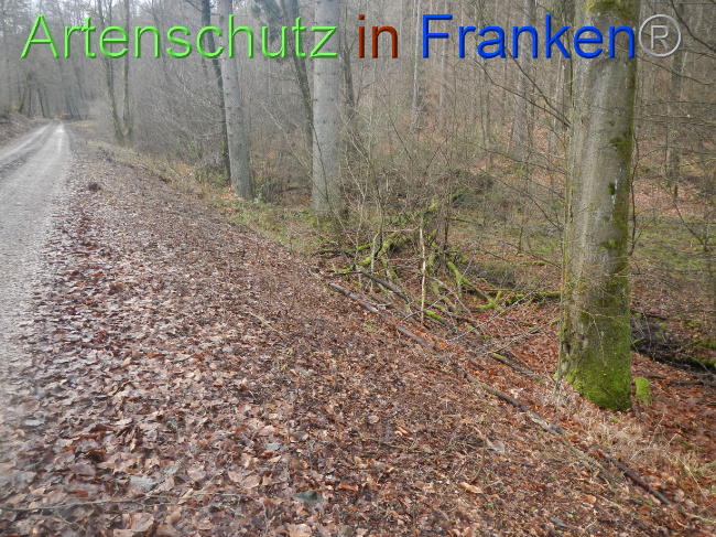 © Artenschutz in Franken® Bild zum Eintrag (1080363-160)