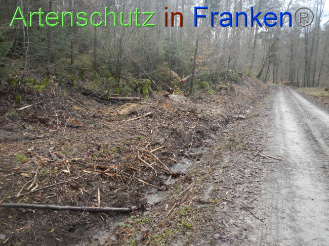 © Artenschutz in Franken® Bild zum Eintrag (1080366-160)