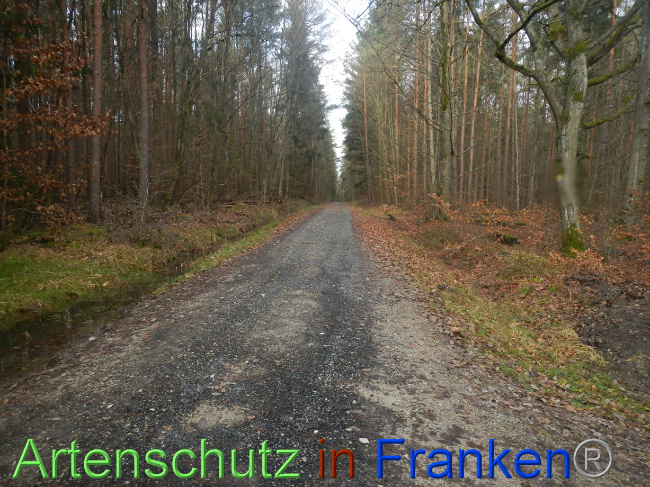 © Artenschutz in Franken® Bild zum Eintrag (1080387-160)