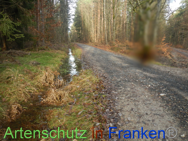 © Artenschutz in Franken® Bild zum Eintrag (1080388-160)