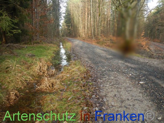 Bild zum Eintrag (1080388-160)