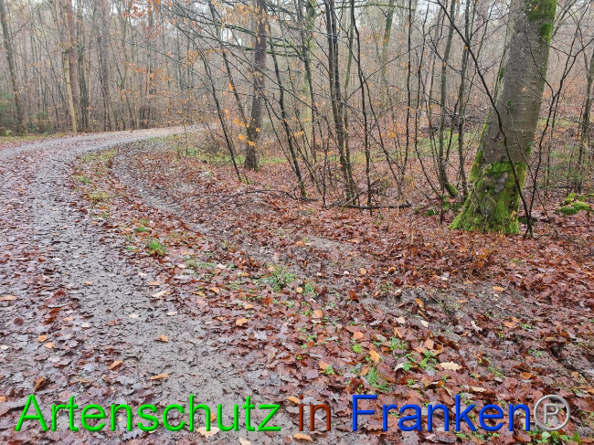 Bild zum Eintrag (1080440-160)