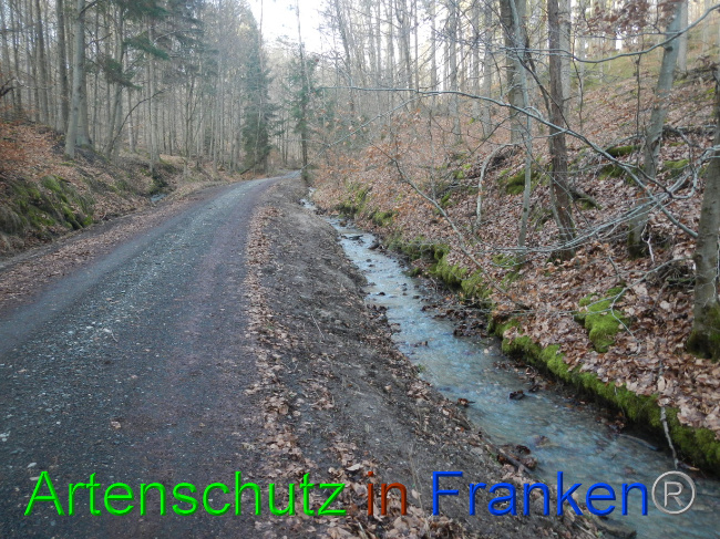 © Artenschutz in Franken® Bild zum Eintrag (1080557-160)