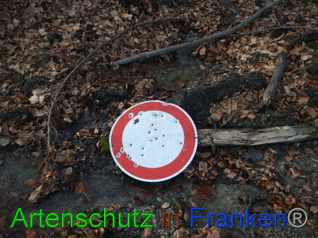 © Artenschutz in Franken® Bild zum Eintrag (1080589-160)