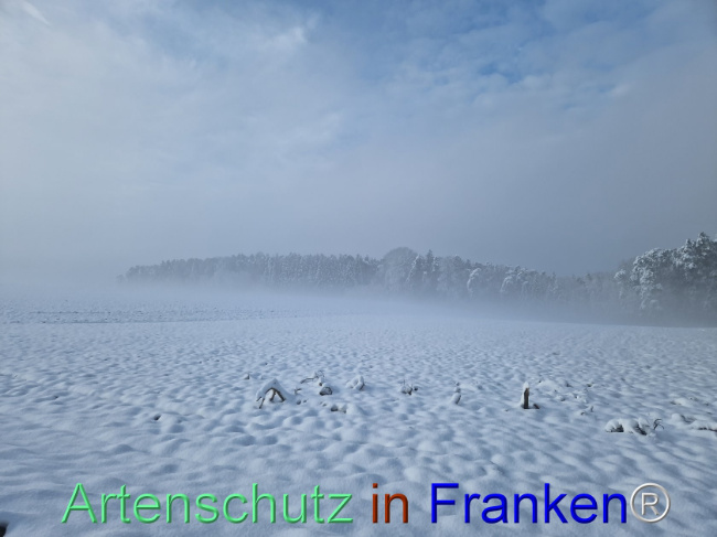 Bild zum Eintrag (1096996-160)