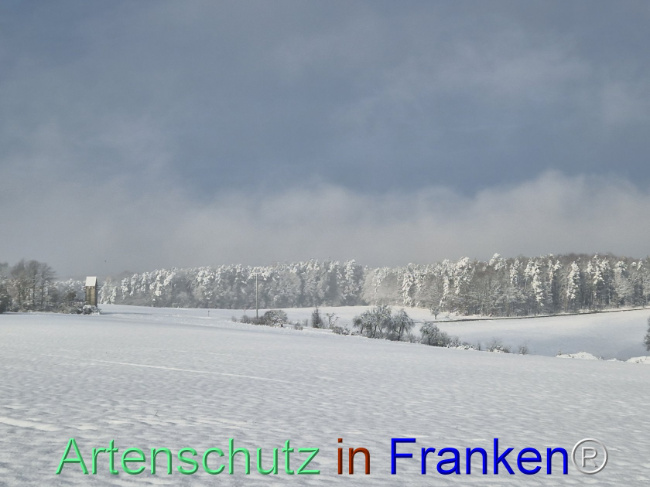 Bild zum Eintrag (1096997-160)