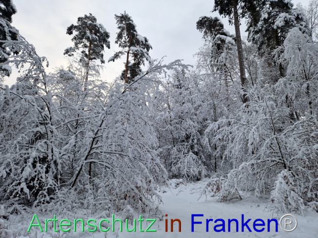 Bild zum Eintrag (1097001-160)