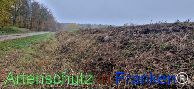 © Artenschutz in Franken® Bild zum Eintrag (1114349-160)