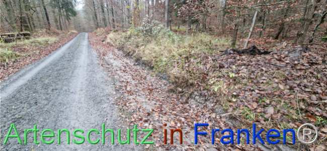 © Artenschutz in Franken® Bild zum Eintrag (1115499-160)