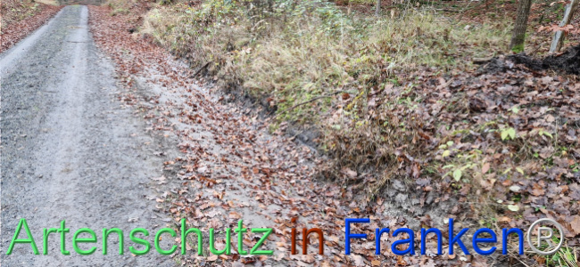 © Artenschutz in Franken® Bild zum Eintrag (1115500-160)