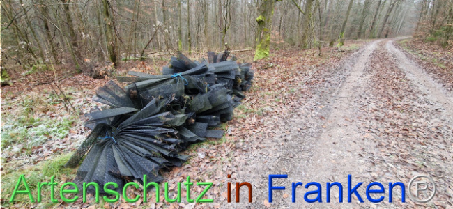 © Artenschutz in Franken® Bild zum Eintrag (1116778-160)