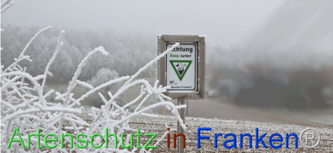 © Artenschutz in Franken® Bild zum Eintrag (1116797-160)