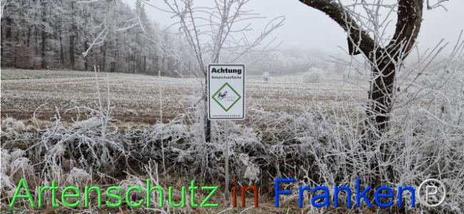 © Artenschutz in Franken® Bild zum Eintrag (1116801-160)