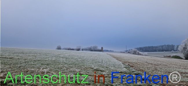 Bild zum Eintrag (1116807-160)