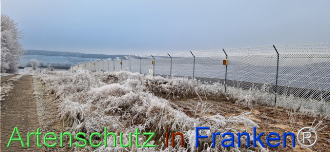 Bild zum Eintrag (1116811-160)