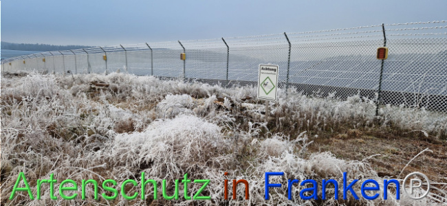 Bild zum Eintrag (1116813-160)