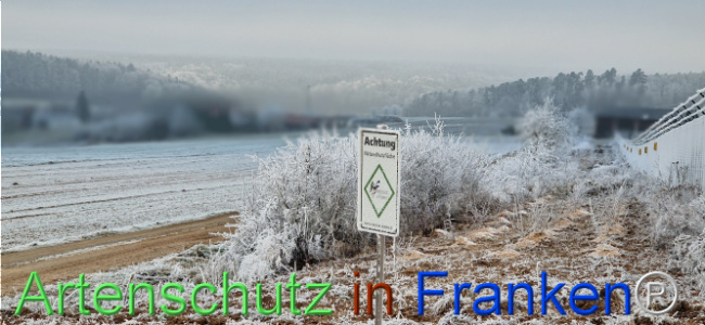 Bild zum Eintrag (1116815-160)