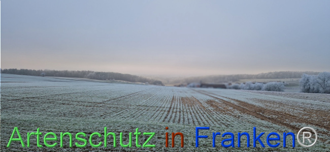 Bild zum Eintrag (1116817-160)