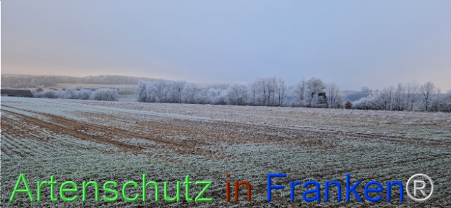 Bild zum Eintrag (1116821-160)
