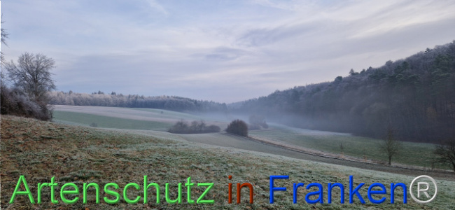 Bild zum Eintrag (1116826-160)