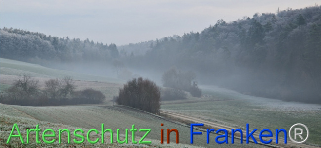 Bild zum Eintrag (1116827-160)