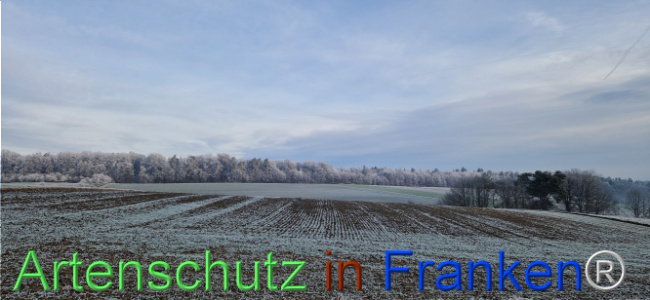 Bild zum Eintrag (1116828-160)