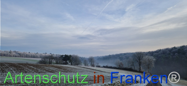 Bild zum Eintrag (1116830-160)