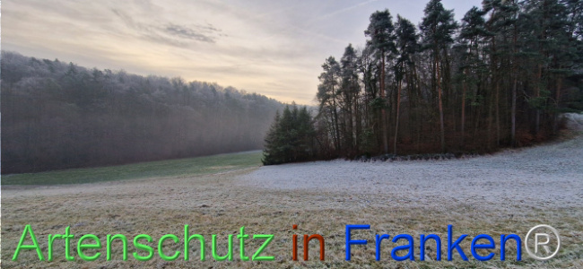 Bild zum Eintrag (1116831-160)