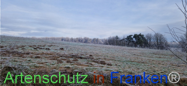 Bild zum Eintrag (1116832-160)