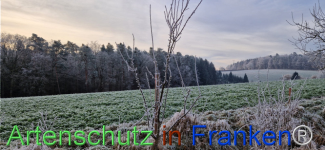 Bild zum Eintrag (1116835-160)