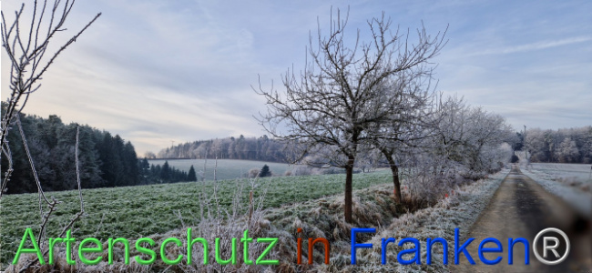 Bild zum Eintrag (1116836-160)