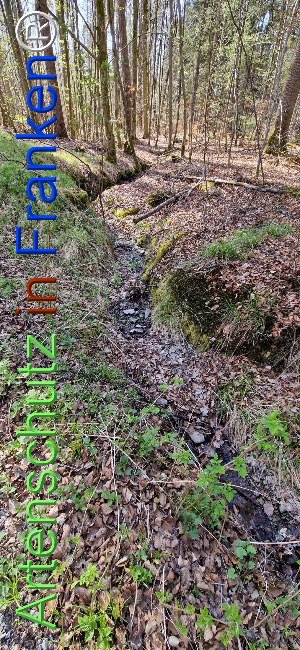 © Artenschutz in Franken® Bild zum Eintrag (1120496-160)