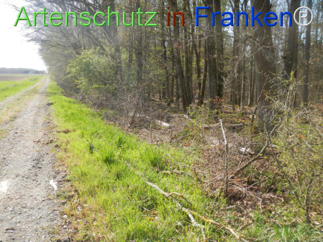 Bild zum Eintrag (1120964-160)