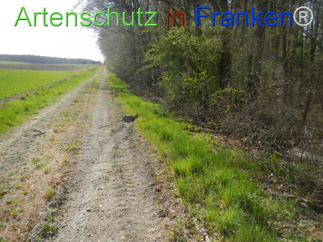 Bild zum Eintrag (1120967-160)