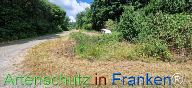 Bild zum Eintrag (1125033-160)
