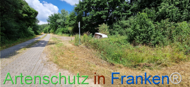 Bild zum Eintrag (1125035-160)