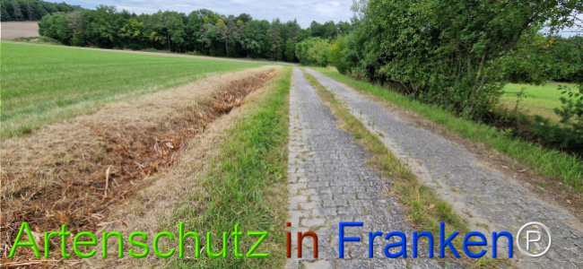 Bild zum Eintrag (1126558-160)