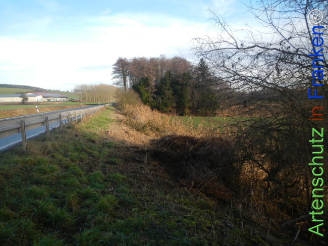 Bild zum Eintrag (1131427-160)