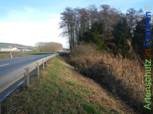 Bild zum Eintrag (1131439-160)