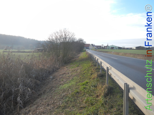 Bild zum Eintrag (1131440-160)