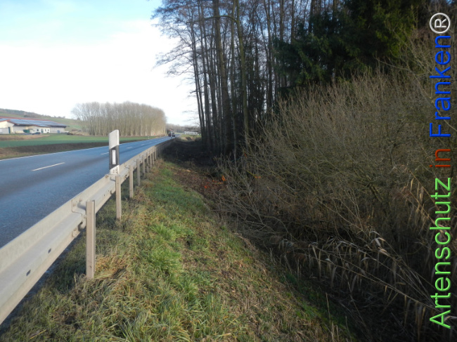 Bild zum Eintrag (1131447-160)