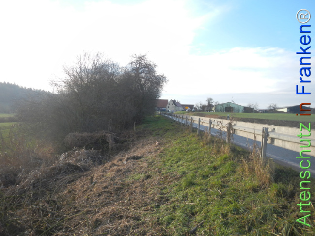 Bild zum Eintrag (1131449-160)