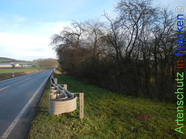 Bild zum Eintrag (1131450-160)