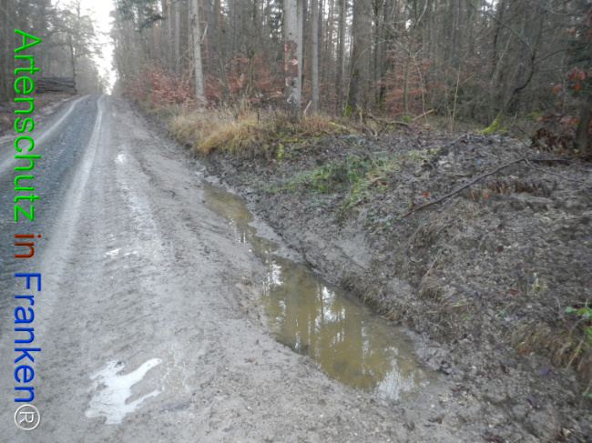 Bild zum Eintrag (1132094-160)