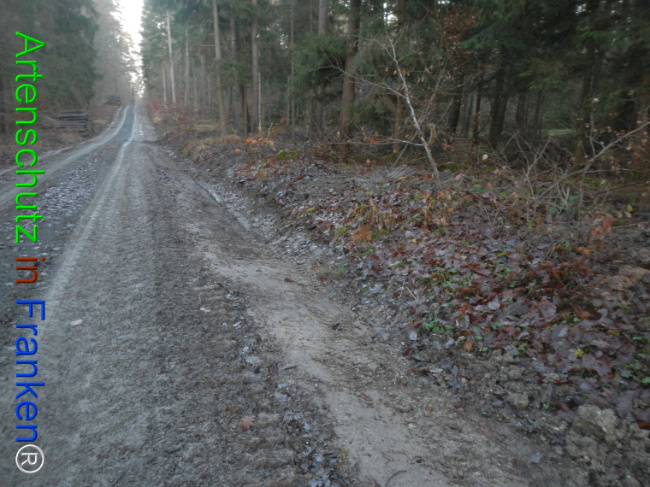 Bild zum Eintrag (1132095-160)